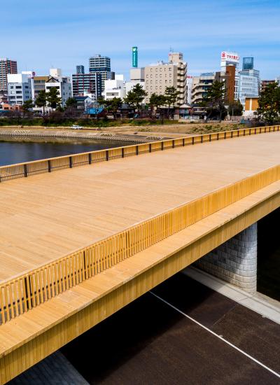 Bridge in front on city skyline