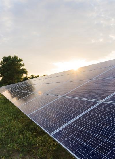 Solar panels on grass, low sun in background.