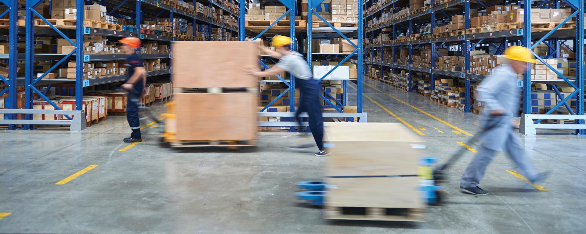 Workers with pallets in warehouse.